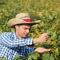 Agriculture Investor Seeking Strong Deals In 2026