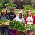 Smart Capital For A Sustainable Food Future