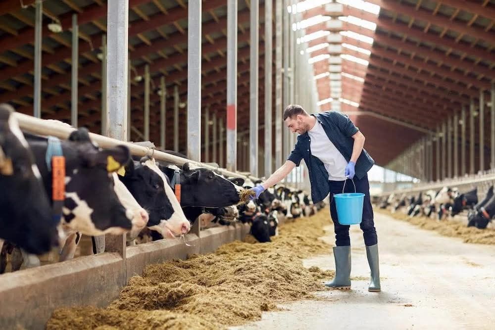 Berlin, Business Partners, Smart Capital For A Sustainable Food Future