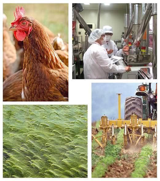 Berlin, Business Partners, Smart Capital For A Sustainable Food Future