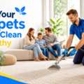 Carpet Cleaning Elwood &ndash; Fresh Carpets, Professional Care