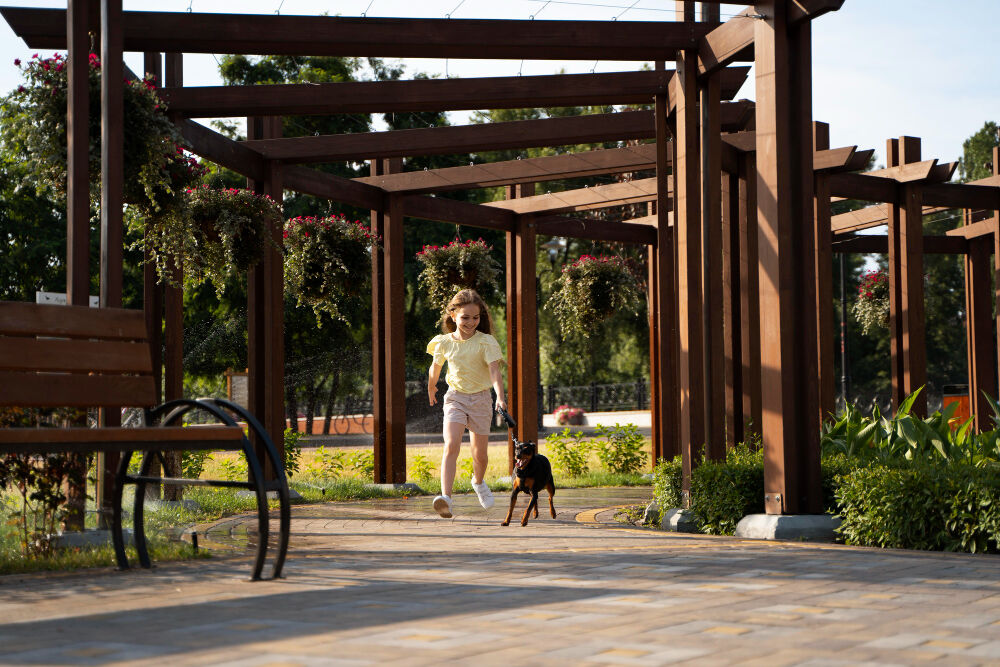 New York, Farm/Garden, Pergola Contractors In San Carlos For Beautiful Outdoor Living Spaces