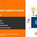 Global Oracle NetSuite Solution Provider For Firms
