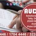 Audit Solutions With Tally, Odoo, ZOHO Books And Point Of Sale