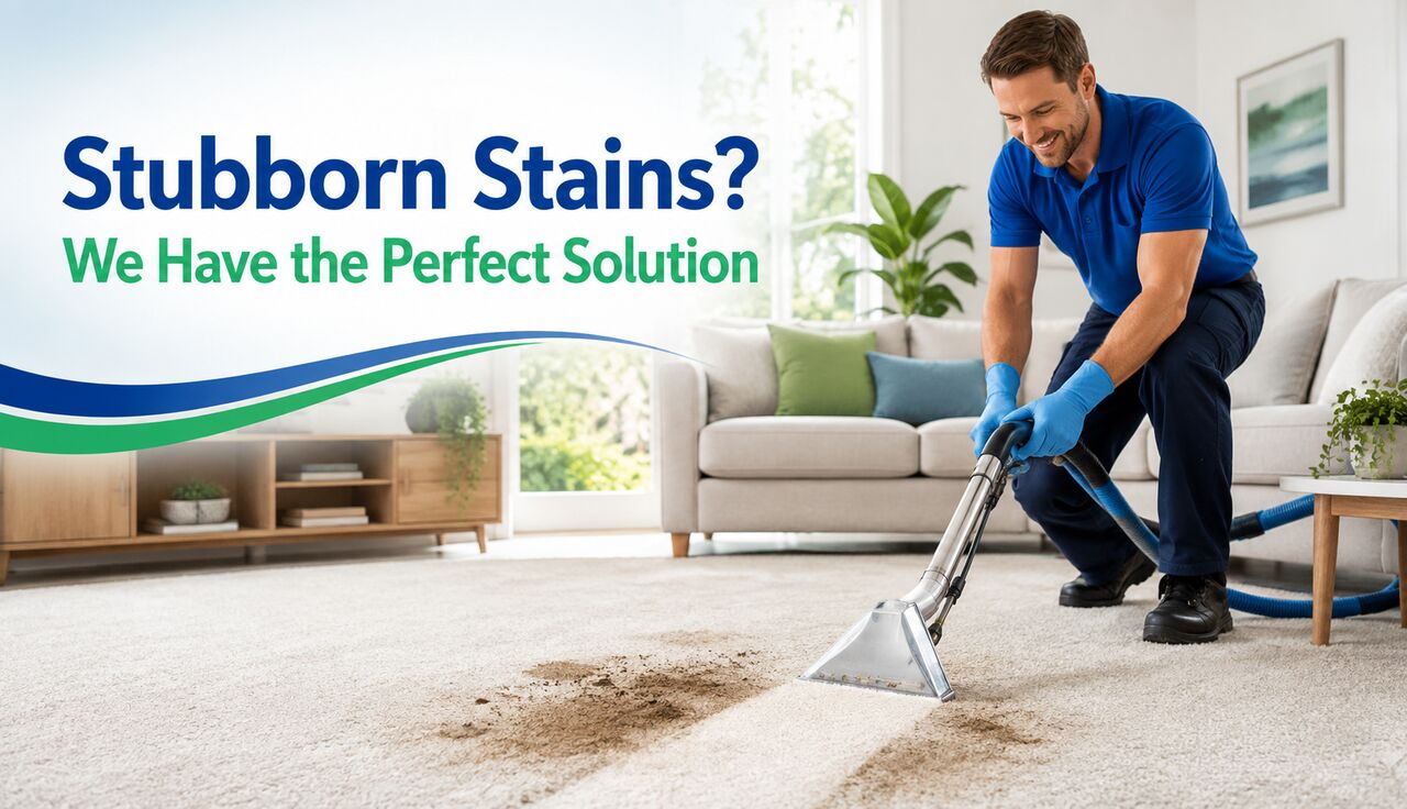 Sydney, Cleaning, Carpet Cleaning Leichhardt &ndash; Professional Support For Every Room