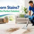 Carpet Cleaning Leichhardt &ndash; Professional Support For Every Room