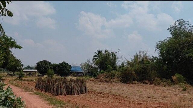 Bangkok, Real Estate For Sale, THB 190000,  6 BR,  7800 Sq. Feet,  Sikhio Korat, Land On High Ground Next To A Cement Road. Deed For Sale Of Over 100,000