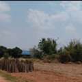 THB 190000,  6 BR,  7800 Sq. Feet,  Sikhio Korat, Land On High Ground Next To A Cement Road. Deed For Sale Of Over 100,000