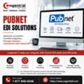 Pubnet EDI Integration Services By Cogential IT
