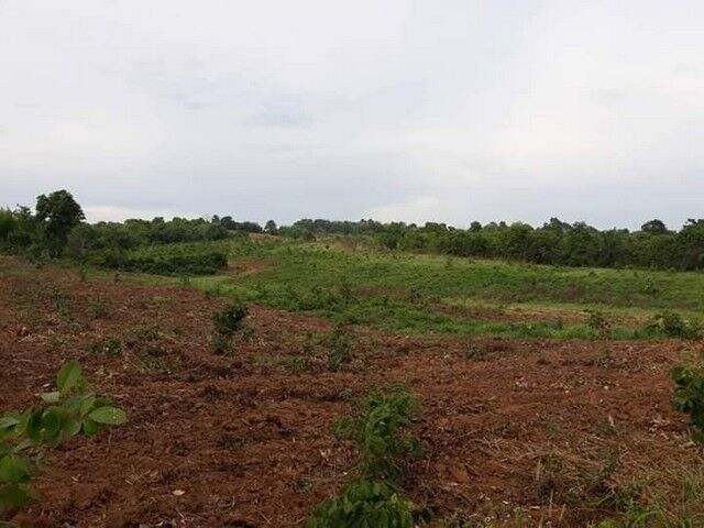 Bangkok, Real Estate For Sale, THB 160000,  6 BR,  41381 Sq. Feet,  Lom Kao, Land On A Hill, Beautiful View For Sale, Rent, Good Price, Easy To Talk To Land