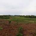 THB 160000,  6 BR,  41381 Sq. Feet,  Lom Kao, Land On A Hill, Beautiful View For Sale, Rent, Good Price, Easy To Talk To Land