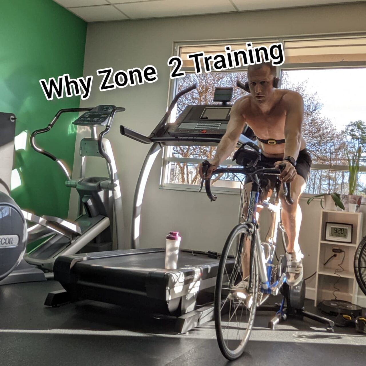 New York, Health, Charlotte Fitness Training For Every Goal - Shape Up Fitness & Wellness Consulting