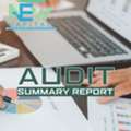 Audit Summary Report