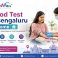 Blood Test In Bengaluru At Home | Affordable & Fast Lab Tests