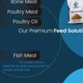 Poultry Oil, Poultry Meal Manufacturer & Supplier In Kerala
