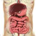 Advanced SIBO Treatment Plan | Eliminate SIBO Permanently | Dr Anshul Gupta