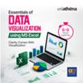 Online Excel Data Visualization Course | UniAthena