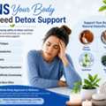 Signs Your Body Needs Detox Support You Should Not Ignore