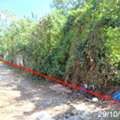 THB 5088000,  3 BR,  230 Sq. Feet,  2-story Detached House For Sale, Muang Chiang Mai, Pa Daet Road, Near Chiang Mai Night