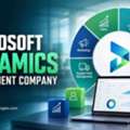 Leading Microsoft Dynamics Development Services For Business Innovation
