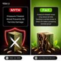 Myth Vs Fact - Pressure-Treated Wood Does Not Stop Every Termite Infestation