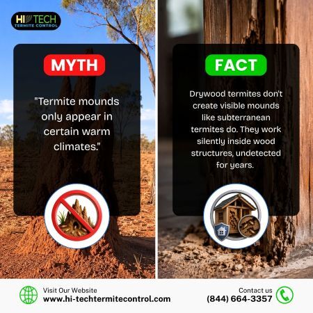 New York, Pest Control, Myth Vs Fact