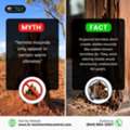 Myth Vs Fact