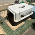 SAR 40,  Pet Carrier