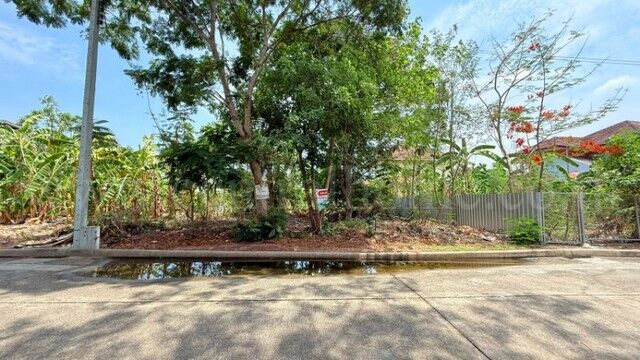 Bangkok, Real Estate For Sale, THB 1690000,  6 BR,  70 Sq. Feet,  Reduced Price Of Land Already Filled In, Chaiyaphruek Village, Wongwaen - Rattanathibet,