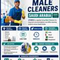 Male Cleaners