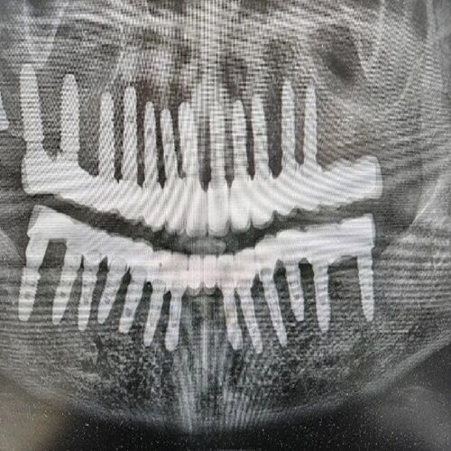 New York, Business Partners, Prime Smile Dental, PC