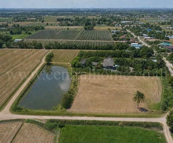Bangkok, Real Estate For Sale, THB 3390000,  6 BR,  3999 Sq. Feet,  Urgent Price Reduction, Land 9-3-99.5 Rai, Don Pho - Suphanburi, Has Tenants, Good