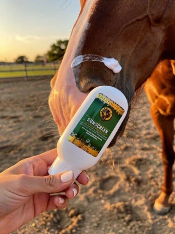 New York, Business, Horse Care Products & Horse Cleaning Products | The Epic Animal