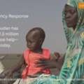 Sudan Emergency Appeal: Save Lives With Food, Water & Emergency Shelter