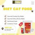 Healthy Choices For Your Cat With Premium Diet Options