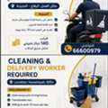 Cleaning Worker And Delivery