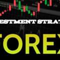 Forex Trader Looking Investment