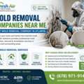 Best Mold Removal Company In Atlanta
