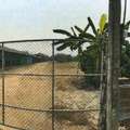 THB 4050000,  6 BR,  872 Sq. Feet,  Land For Sale With Buildings Chai Prakan District Chiang Mai Province
