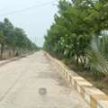 INR 23999,  350 Sq. Yard,  Final Lp Approved Open Villa Plots For Sale Near Thimmapur Railway Station