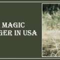Black Magic Astrologer In Vermont