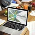 Digital Marketing For Agribusiness Marketing Services - SalesGrow