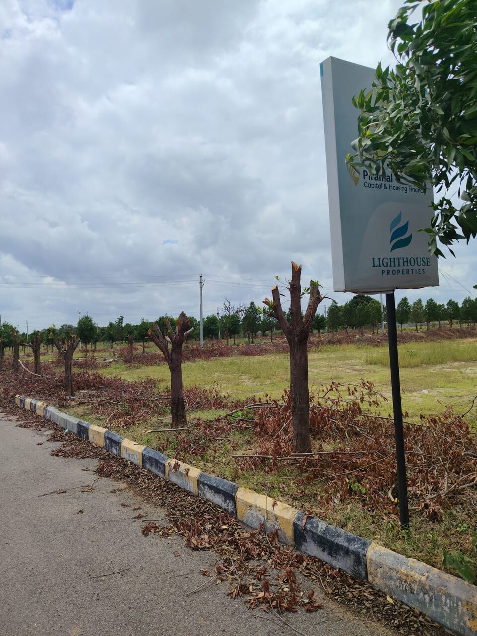 Hyderabad, Residential Plots, INR 13000,  183 Sq. Yard,  DTCP & RERA FINAL  APPROVED Open Plots For Sale @ Nandiwanaparthy
