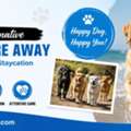 Active Dog Care: A Fun Staycation In San Diego