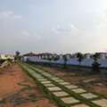 INR 29000,  250 Sq. Yard,  HMDA Gated Villa Plots Sale Pedda Golkonda Gollur Village Bangalore Highway ORR 15 & 16