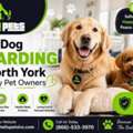 Best Dog Boarding In North York For Busy Pet Owners