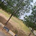 INR 13000,  221 Sq. Yard,  DTCP & RERA FINAL APPROVED Open Plots For Sale @ Yacharam