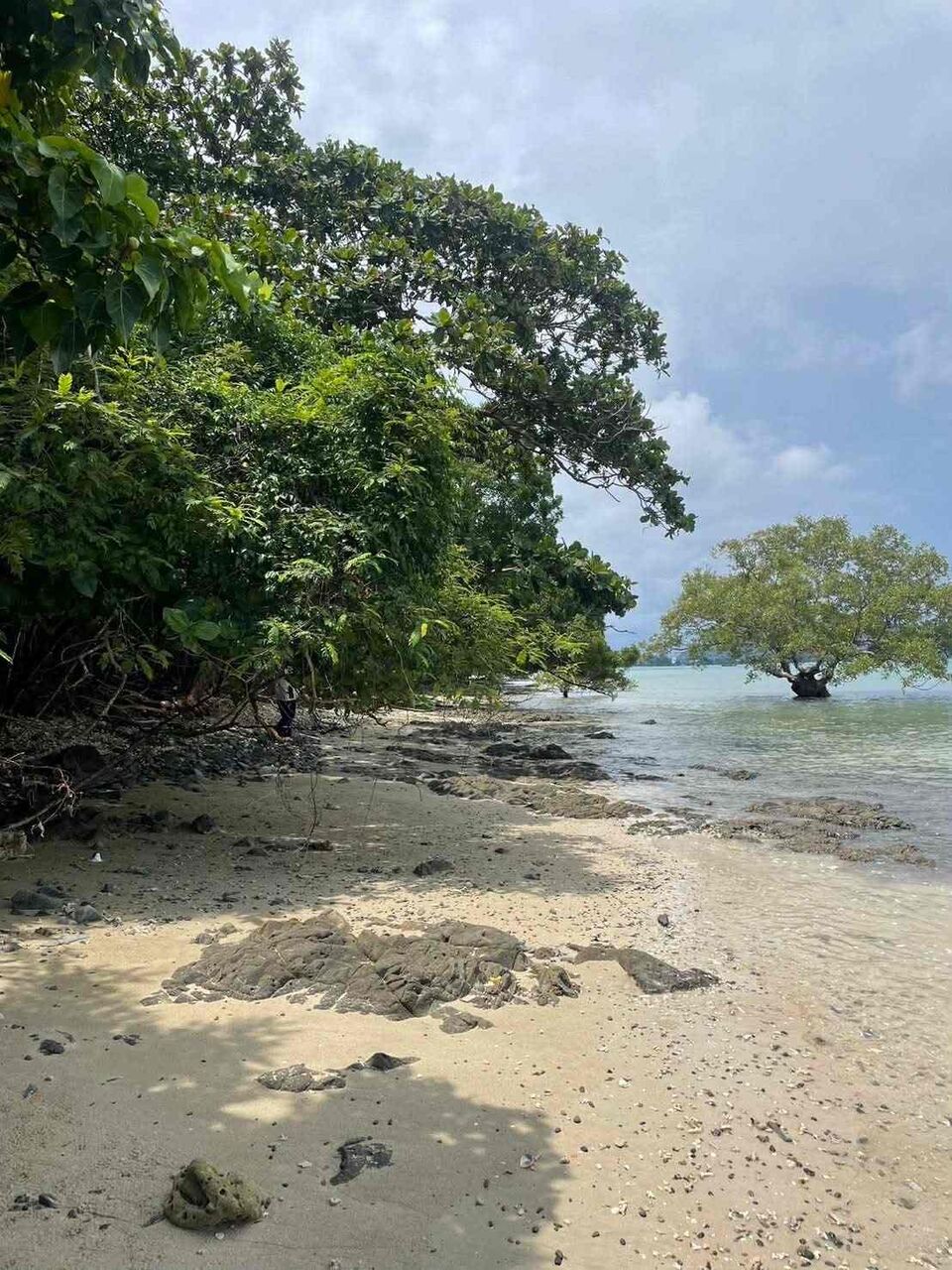 Bangkok, Real Estate For Sale, THB 69000000,  6 BR,  14000 Sq. Feet,  Vacant Land For Sale 35 Rai - Prime Location Beachfront  Lon Island, Phuket