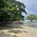 THB 69000000,  6 BR,  14000 Sq. Feet,  Vacant Land For Sale 35 Rai - Prime Location Beachfront  Lon Island, Phuket