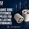 Ceramic Ring Partitioned Supplier For Long Lasting Performance